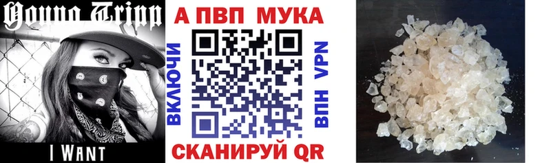 закладки  Яхрома  A PVP СК 